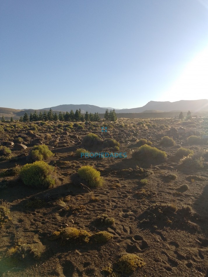 LOTE EN ZONA EL LLANO DEL LAGO HUECHULAFQUEN