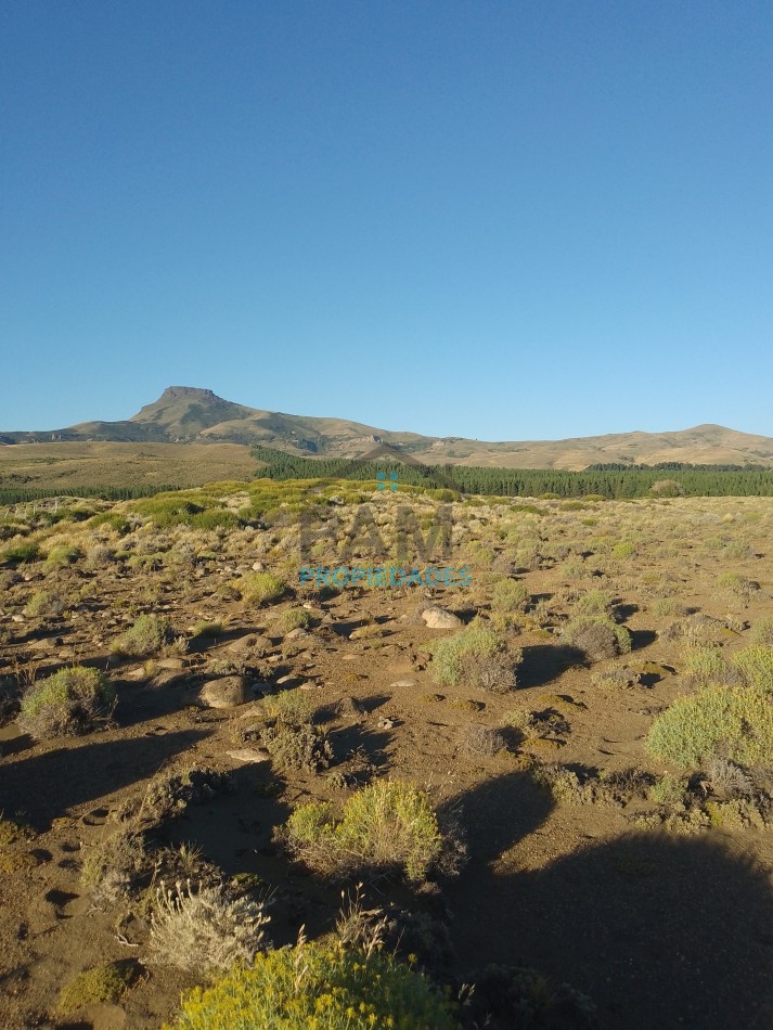 LOTE EN ZONA EL LLANO DEL LAGO HUECHULAFQUEN