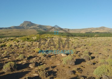 LOTE EN ZONA EL LLANO DEL LAGO HUECHULAFQUEN